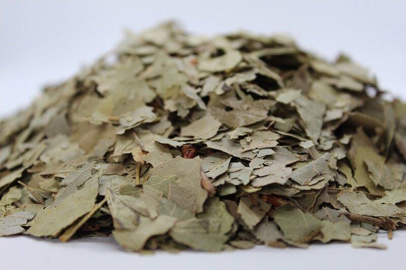 Aspen leaf | populus tremula | aspen leaf tea | herbal tea | medicinal herbs | dried herbal tea | organic leaf tea