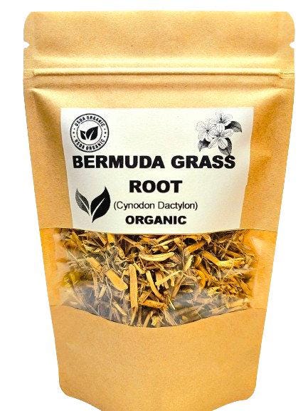 Bermuda grass root | cynodon dactylon | bermuda grass tea | dried root | herbal tea | organic herbs | dried herbs | herba | tea