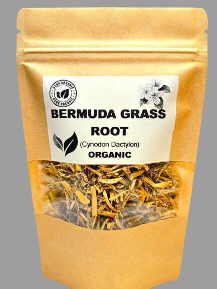 Bermuda grass root | cynodon dactylon | bermuda grass tea | dried root | herbal tea | organic herbs | dried herbs | herba | tea
